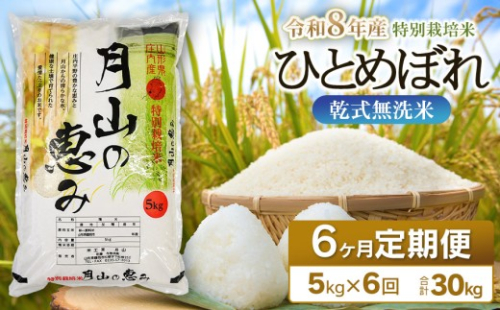 【令和8年産 新米】 6ヶ月定期便 特別栽培米 ひとめぼれ 乾式無洗米 5kg (5kg×1袋) ×6回　毎月1回中旬発送　山形県鶴岡市産　米工房月山  | 国産 米 白米 ブランド米 米どころ 庄内米 冷めてもおいしい おにぎり お弁当 おすすめ 農家直送 令和8年 新米 定期便 予約 2003368 - 山形県鶴岡市