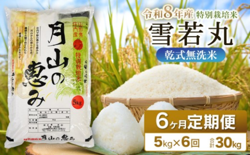 【令和8年産 新米】 6ヶ月定期便 特別栽培米 雪若丸 乾式無洗米 5kg (5kg×1袋) ×6回　毎月1回中旬発送　山形県鶴岡市産　米工房月山  | 国産 米 白米 ブランド米 米どころ 庄内米 冷めてもおいしい おにぎり お弁当 おすすめ 農家直送 令和8年 新米 定期便 2003374 - 山形県鶴岡市