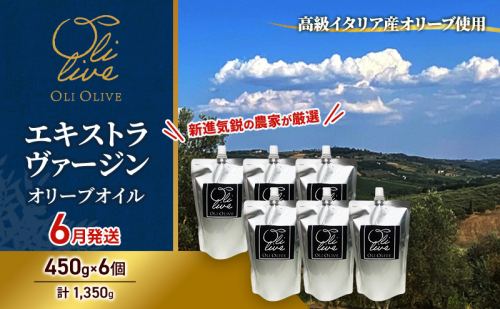 高級イタリア産 エキストラ・ヴァージン・オリーブオイル 450g×6個【2026年6月中旬より順次発送】調味料 油 オリーブ油 食用油 静岡県 袋井市 2003468 - 静岡県袋井市