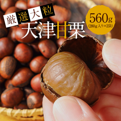 この道50年の職人が焼く、やさしい甘みたっぷりの「厳選大粒」天津甘栗560g！焼きたて 栗 くり 栗爪 殻付き お菓子 おつまみ 人気 高リピート 小分け 栗ご飯 栗きんとん 甘露煮 H045-064 2003484 - 愛知県碧南市