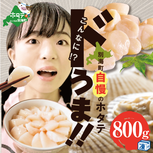 【訳あり】大人気 ！ホタテ 訳あり TVで話題 ほたて といえば 別海町 冷凍 帆立 800g 小粒 約40～65玉前後 【KT0000015】（有限会社カネシン高木商店）（ほたて ホタテ 帆立 ふるさと納税） 2003488 - 北海道別海町
