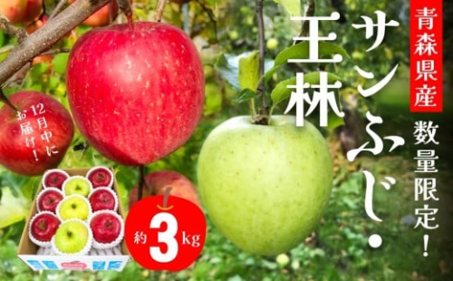 12月中にお届け！青森県産 サンふじ・王林詰合せ 3kg りんご 年内配送 家庭用 贈答用 2003575 - 青森県八戸市