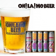 【定期便】NEWオラホビール 10本セット×6回 クラフトビール 飲み比べ