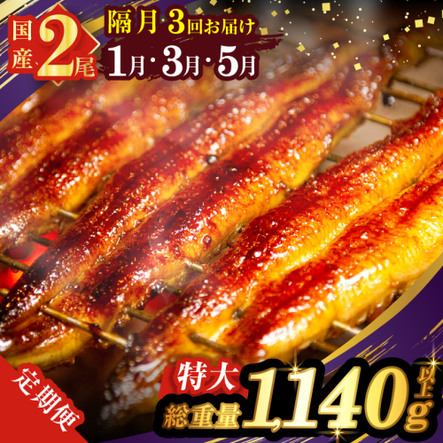 先行予約≪隔月定期便全3回≫1月・3月・5月お届け!!うなぎ蒲焼特大2尾(総重量1140g以上) 鰻 魚 魚介 加工品 国産_T026-0073 2004065 - 宮崎県都農町