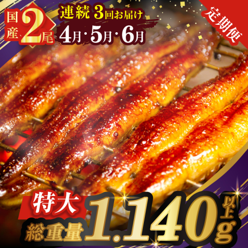 ≪定期便全3回≫4月・5月・6月お届け!!うなぎ蒲焼 特大2尾 (総重量1.14kg以上) 鰻 魚 魚介 加工品 国産_T026-007 2004065 - 宮崎県都農町