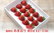 いちご あまおう 贈答用 12～15粒 福岡のいちご 苺 本来の酸味と甘み！ 配送不可 離島