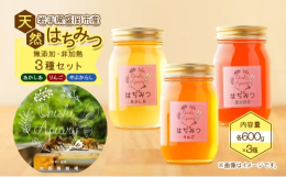 ＼たっぷり600g瓶 あかしあ・りんご・夏の百花 3種セット／一匹のミツバチが一生かかって作るはちみつの量は、ティースプーン一杯分。その貴重なはちみつを大切に採蜜、非加熱で皆さまにお届けします。岩手県