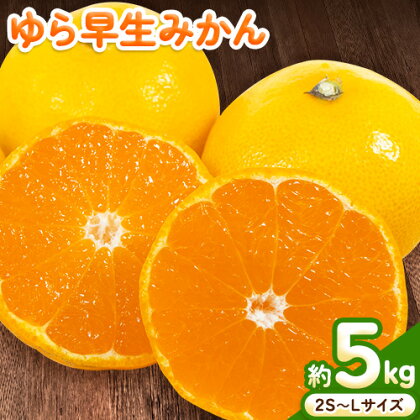 ゆら 早生 みかん 約 5kg (2S～Lサイズ) どの坂果樹園《10月中旬-12月上旬頃出荷予定》 和歌山県 日高町 みかん ゆら早生 旬 柑橘 フルーツ 果物 ミカン 蜜柑 2004884 - 和歌山県日高町