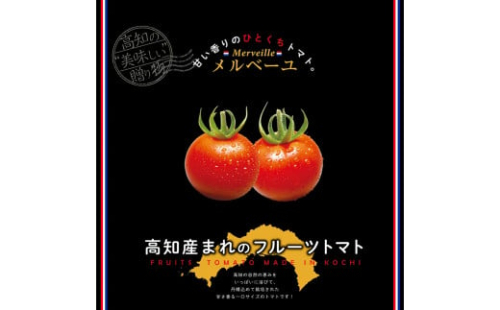 高知産フルーツトマト「メルベーユ」約1.5kg 糖度9度以上！【s-kensyo】数量限定 期間限定 故郷納税 高糖度 野菜 とまと 甘さ ミニトマト　甘い　フルティカ 2004885 - 高知県芸西村