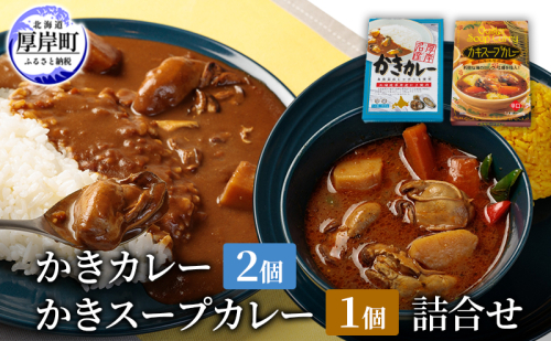 かきカレー2個 かきスープカレー 1個　詰合せ 北海道 カレー スープ スープカレー カレーライス レトルト レトルトカレー レトルト食品 加工品 牡蠣 2005285 - 北海道厚岸町