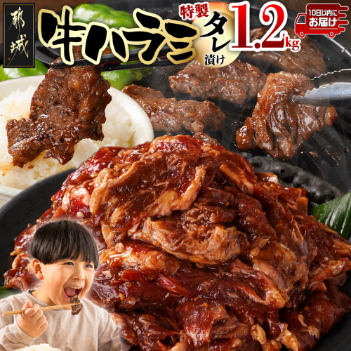 牛ハラミ タレ漬け1.2kg≪みやこんじょ特急便≫_12-3309-Q 2005293 - 宮崎県都城市