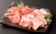 [黒毛和牛] おおいた和牛/カルビ&赤身 焼肉食べ比べセット(各約150g×2P)