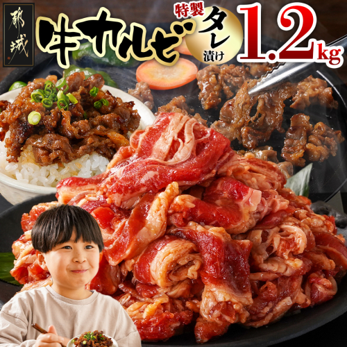 牛カルビ タレ漬け1.2kg_LG-3325 2005395 - 宮崎県都城市