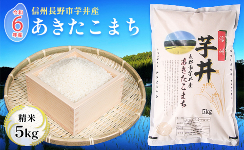 米 令和7年産　信州芋井産あきたこまち精米5kg お米 ごはん コメ 白米 精米 お取り寄せ 信州 長野 2005400 - 長野県長野市