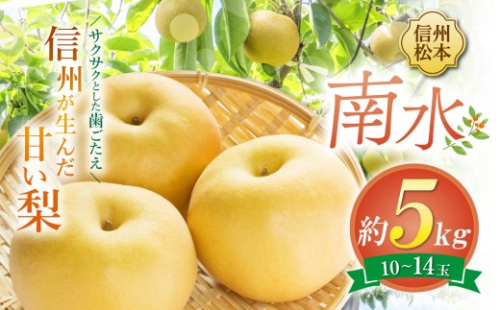 【先行受付】南水 10～14玉 約5kg｜ふるさと納税 松本市 南水 果物 フルーツ 梨 なし ジューシー 果肉 美味しい 人気 2005822 - 長野県松本市