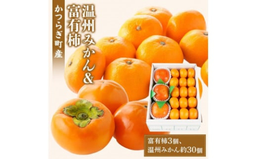 道の駅くしがきの里セット 富有柿3個・温州みかん約30個の詰め合わせ こだわり農家厳選［2026年11月初旬から11月末頃順次発送］［KG29］ 2005910 - 和歌山県上富田町