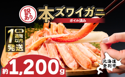 訳あり 冷凍 ボイル ずわいがに 足 1200g ズワイガニ　ハーフポーション【順次出荷】 ギフト 2025 2006137 - 北海道登別市