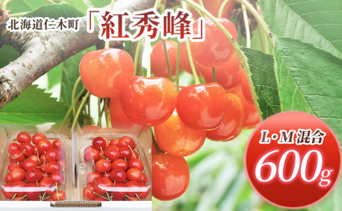 先行受付 北海道 仁木町産 さくらんぼ 紅秀峰 600g (300g×2パック) L-Mサイズ 混合　旬 桜桃 産地直送 サクランボ チェリー フルーツ 果物 果物類  仁木町 仁木 [松山商店] 2006235 - 北海道仁木町
