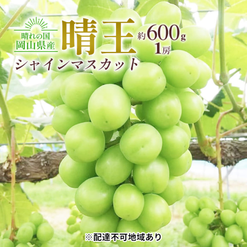 ぶどう 2025年 先行予約 シャイン マスカット 晴王 1房 約600g 大粒 種無し ブドウ 葡萄 岡山県産 国産 フルーツ 果物 ギフト 橋田商店 2006281 - 岡山県玉野市