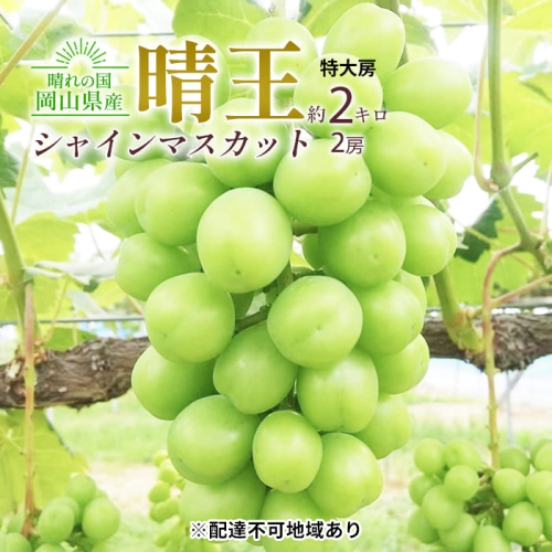 ぶどう 2025年 先行予約 シャイン マスカット 晴王 特大房 2房入り 合計約2kg 大粒 種無し ブドウ 葡萄 岡山県産 国産 フルーツ 果物 ギフト 橋田商店 2006285 - 岡山県玉野市