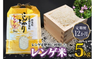 [先行予約] 令和8年度産 [定期便／12ヶ月連続] レンゲ米 計60kg (5kg×1袋×12回) [令和8年10月より順次発送予定]｜2026年度米 数量限定 こしひかり コシヒカリ 精米 白米 お米 ごはん 甘楽町産 国産 [0324]