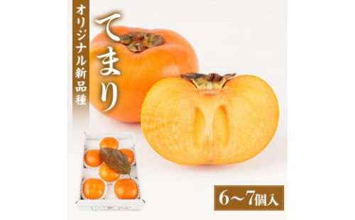 紀州てまり（和歌山県ブランド柿）6～7個入 こだわり農家厳選 先行予約 ［2026年9月末から10月末頃順次発送］［KG27］ 2006454 - 和歌山県那智勝浦町
