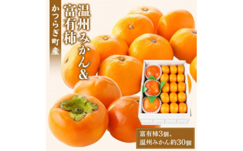道の駅くしがきの里セット 富有柿3個・温州みかん約30個の詰め合わせ こだわり農家厳選［2026年11月初旬から11月末頃順次発送］［KG29］ 2006456 - 和歌山県那智勝浦町