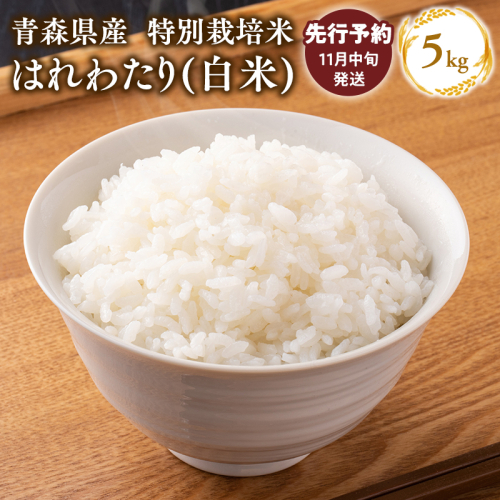 【令和7年産 先行予約   配送時期：2025年11月中旬～】　特別栽培米 はれわたり白米5kg 2006516 - 青森県平川市