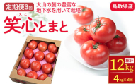 【定期便 3回】期間限定 鳥取県産笑心とまと（約4kg×3回） トマト 新鮮トマト 鳥取トマト 笑心とまと 野菜 リコピン サラダ 野菜 新鮮 鮮度 抜群 トマト定期便