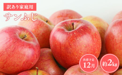 【令和7年産先行受付】令和7年12月発送 訳あり 家庭用サンふじ約2kg【青森県平川市産・青森りんご】 2006908 - 青森県平川市