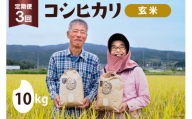 定期便 3回 お米 コシヒカリ [ 玄米 ] 10kg×3回 総計30kg / 農家にしの / 石川県 宝達志水町