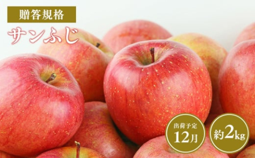 【令和7年産先行受付】令和7年12月発送 贈答規格サンふじ約2kg【青森県平川市産・青森りんご】 2006910 - 青森県平川市