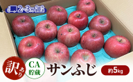りんご 【2-3月クール便配送】 CA貯蔵 訳あり サンふじ 約 5kg リンゴ 果物 訳アリ 青森県 鶴田町