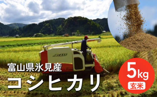 令和6年産 富山県氷見産 コシヒカリ 玄米 5kg 富山県 氷見市 米 こしひかり 2007361 - 富山県氷見市