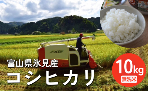 ＜先行予約＞ 令和7年産 富山県氷見産 コシヒカリ 無洗米 10kg ＜2025年10月中旬以降順次発送＞ 富山県 氷見市 米 こしひかり 2007369 - 富山県氷見市