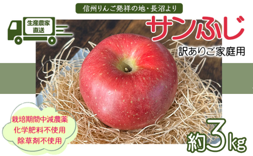 生産農家直送 信州りんご発祥の地・長沼産 長沼りんご サンふじ(ご家庭用) 約3kg サイズミックス 長野県産 栽培期間中化学肥料不使用 除草剤不使用 人にやさしく環境にもやさしい 2007460 - 長野県長野市