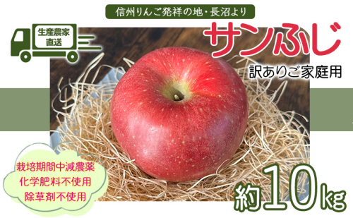 生産農家直送 信州りんご発祥の地・長沼産 長沼りんご サンふじ(ご家庭用) 約10kg サイズミックス 長野県産 栽培期間中化学肥料不使用 除草剤不使用 人にやさしく環境にもやさしい 2007462 - 長野県長野市