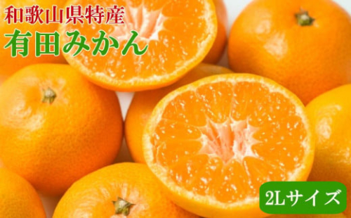 [秀品]和歌山有田みかん約4kg(2Lサイズ) ★2026年11月中旬頃より順次発送［TM199］ 200777 - 和歌山県那智勝浦町