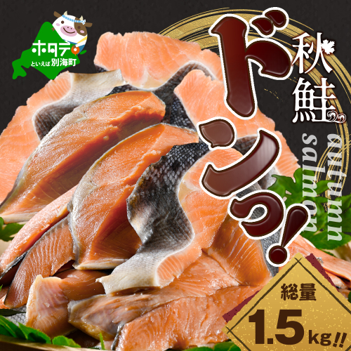 【訳あり】秋鮭ドンっ！無塩 秋鮭 切り身 1.5kg 【KN000PB06】 2008043 - 北海道別海町