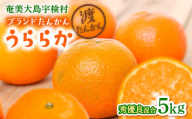 [予約・数量限定] 2027年2月〜出荷予定 [ブランドたんかん] うららか 光センサー 秀優良品 M~2Lサイズ混合 奄美大島産たんかん5kg もぎたて 旬をお届け 鹿児島県 宇検村 渡タンカン農園