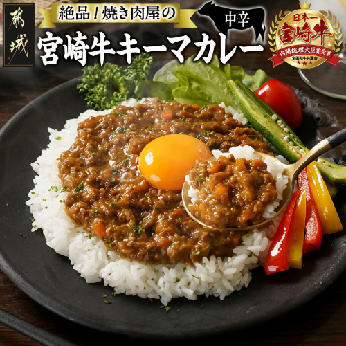 絶品!焼き肉屋の宮崎牛キーマカレー(中辛)_AA-7707 2009663 - 宮崎県都城市