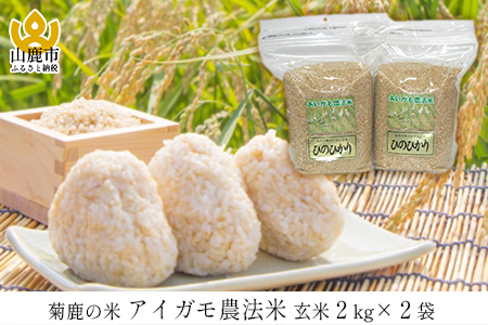 AJ01 菊鹿の米アイガモ農法米 玄米 2kg×2袋