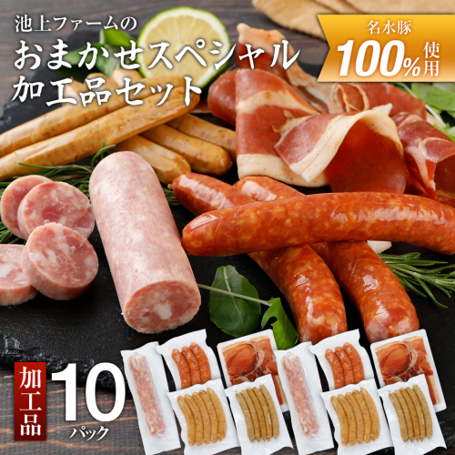 池上ファームのおまかせスペシャル加工品セット　AP08 200988 - 福岡県大木町
