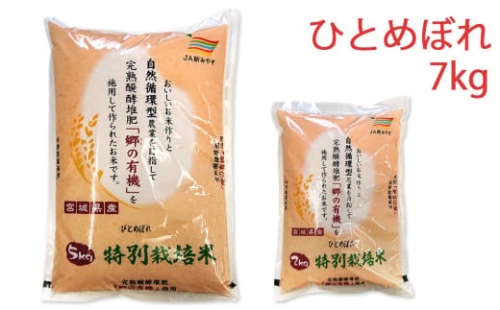 令和5年産 富谷市産 郷の有機使用 特別栽培米 ひとめぼれ 7kg｜宮城産 米 精米 白米 ごはん [0187] 200995 - 宮城県富谷市