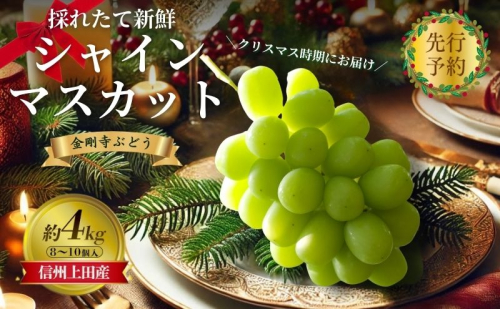 【2026年先行予約】クリスマスにお届け！ シャインマスカット 信州上田産金剛寺ぶどう 約4kg 8～10房 ぶどう 葡萄 ブドウ マスカット 1kg 果物 くだもの フルーツ デザート 旬の果物 旬のフルーツ 長野県 長野 2010456 - 長野県上田市