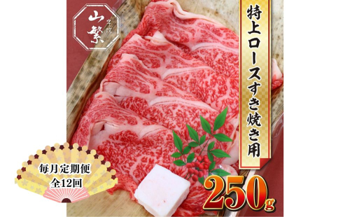 【毎月定期便全12回 】名産 認定肉 宇陀牛 国産 黒毛和牛 特上 ロース すき焼き 約250g チルド / 宇陀 山繁 ふるさと納税 牛肉 人気 ギフト 寄付 ランキング おすすめ グルメ 肉 返礼品 2010480 - 奈良県宇陀市