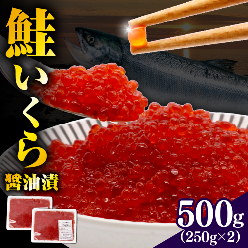 【北港水産】鮭いくら醬油漬け 500g（250g×2）【er018-062-a】 2010694 - 北海道えりも町