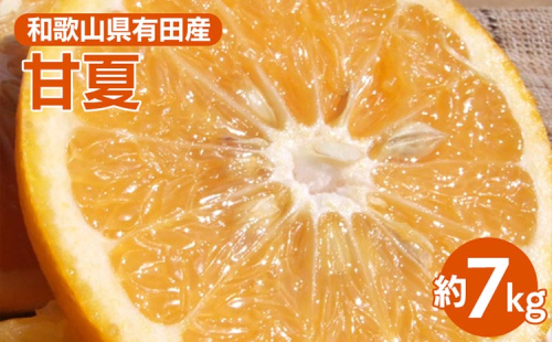 甘夏(あまなつ)秀品[約7kg] 和歌山県有田産 春みかん 【果実サイズおまかせ】｜和歌山県産 柑橘 フルーツ 紀伊国屋文左衛門本舗 ※2025年4月上旬～4月下旬頃に順次発送予定 2010738 - 和歌山県美浜町