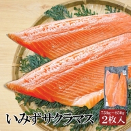 魚 鮭 切身 いみずサクラマス 2枚入(約750g～約850g)おつまみ 弁当 サーモン グルメ 食品/富山県射水市