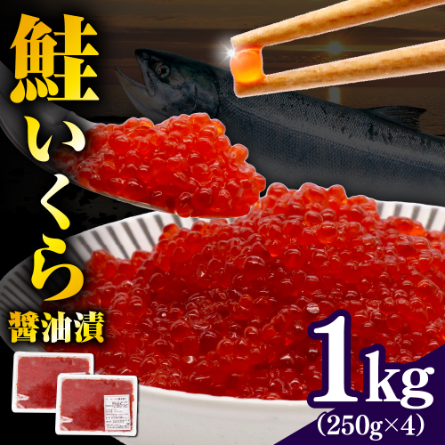 【北港水産】鮭いくら醬油漬け 1kg（250g×4）【er018-068】 2010973 - 北海道えりも町